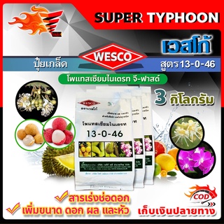 บรรจุ 3 กิโลกรัม WESCO ปุ๋ย 13-0-46 โพแทสเซียมไนเตรท จี-ฟาสต์ ปุ๋ยเกล็ด เวสโก้ สารเร่งช่อดอก เพิ่มขนาด ดอก ผล และหัว