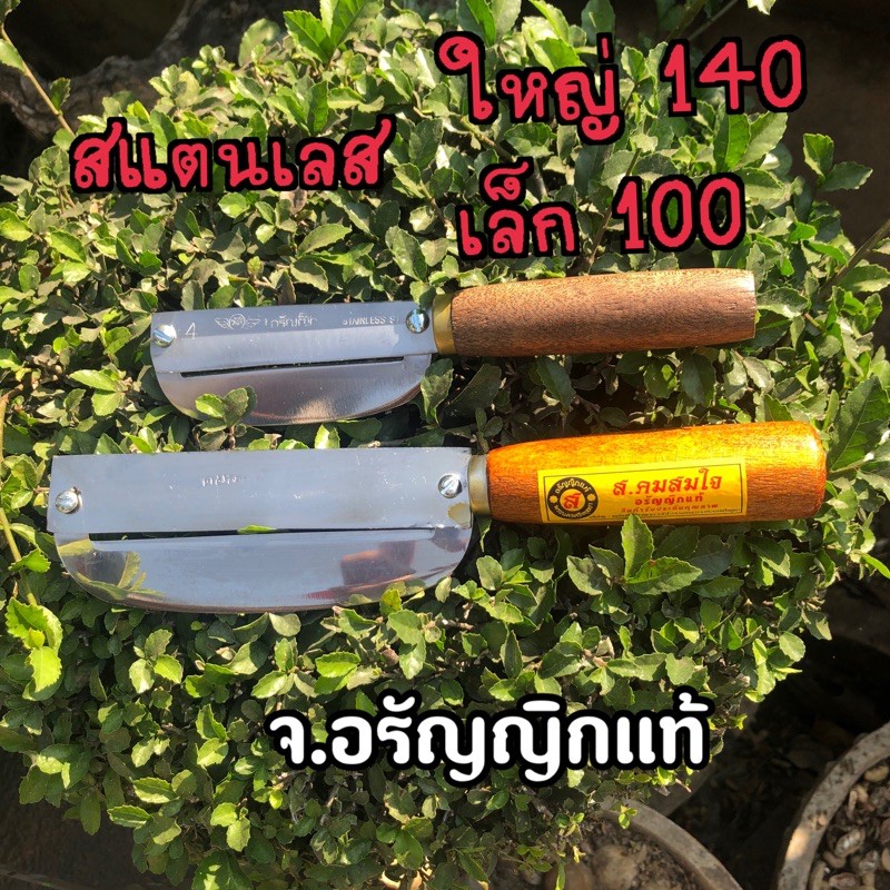 มีดสแตนเลส ปอกผลไม้ สไลด์หมู ไม่ดำ ลับคมได้ มีด 2 คม มี2 ขนาดมีดอรัญญิกแท้ จ้อย อรัญญิกแท้