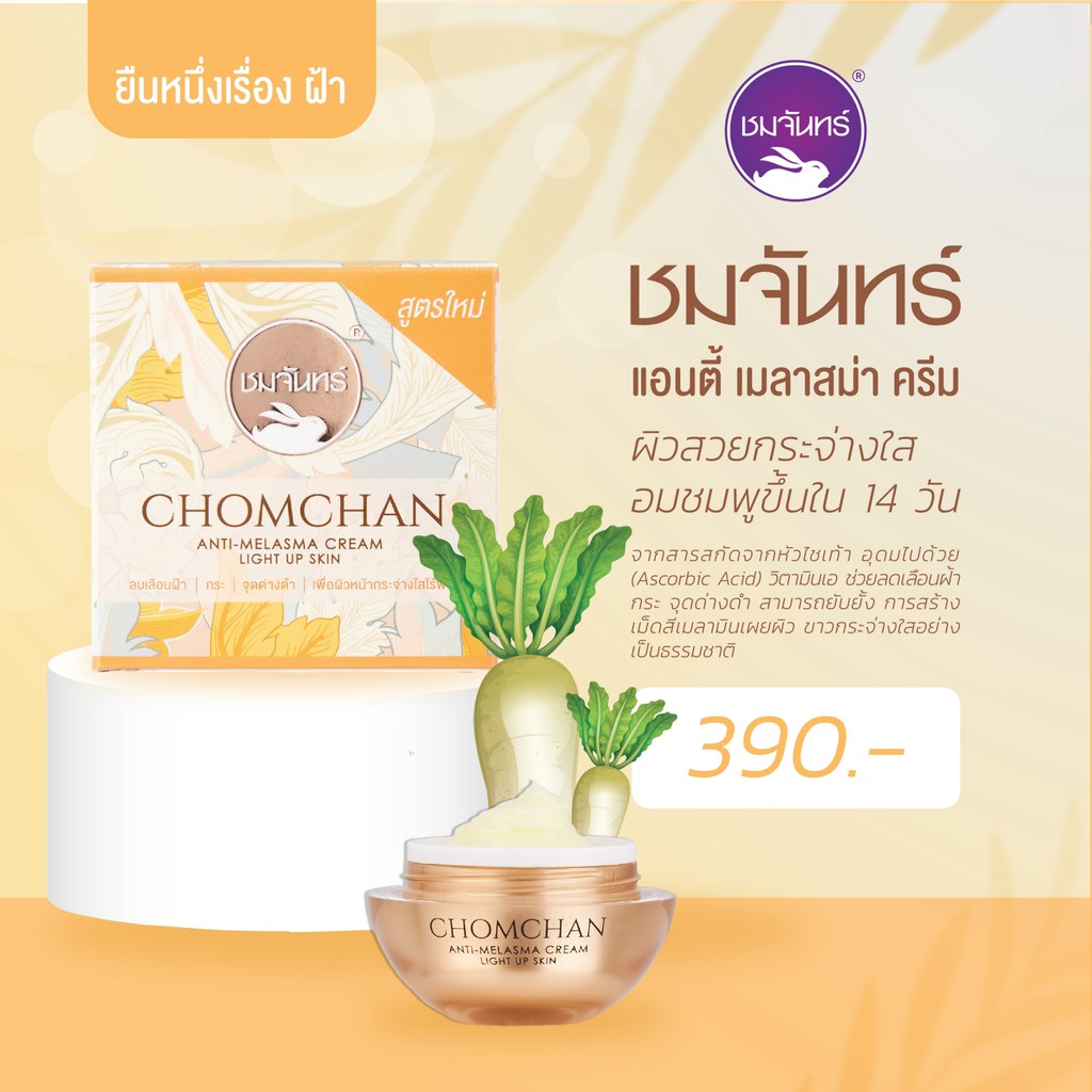 ครีมลบฝ้า ชมจันทร์ กระปุก 15กรัม - รูปที่ 2