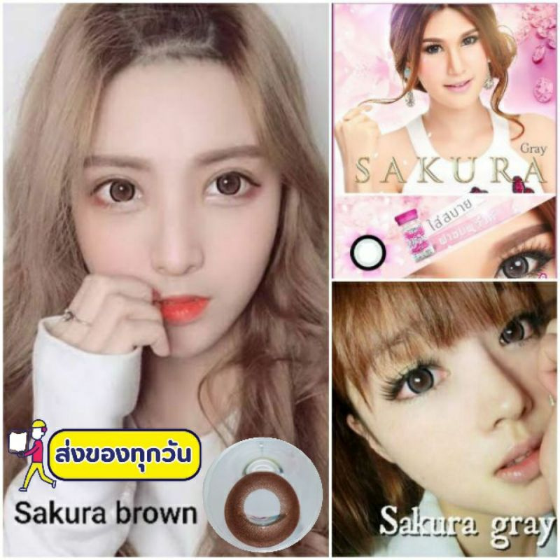 💟 Sakura ( Edge  NaKed ) brown gray  -00 ถึง -1000 Pitchylens Sweety plus Prettydoll สายตา Contactle