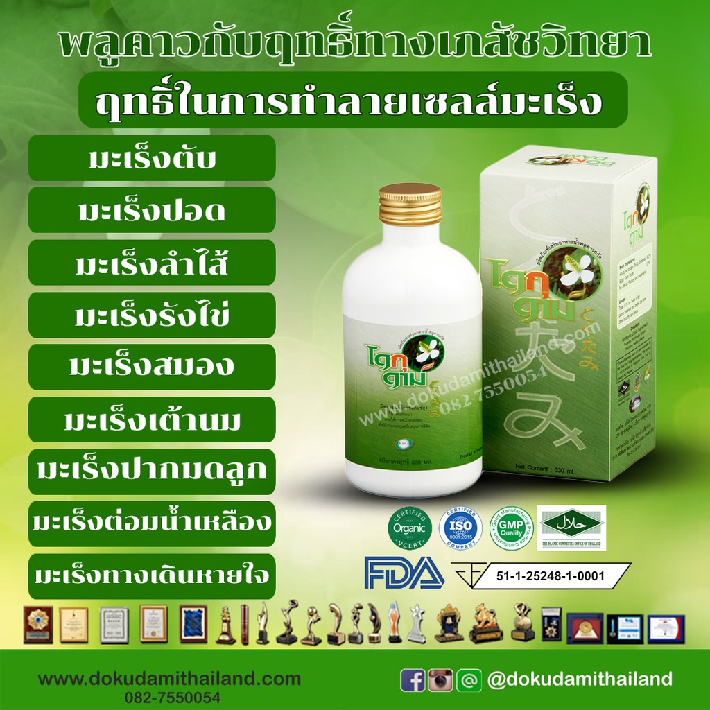 โดกุดามิ/dokudami ราคาพิเศษ 700 บาท สมุนไพร พลูคาว คาวตอง เข้มข้น 99.3%