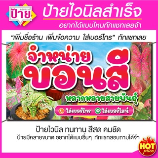 ป้ายไวนิล จำหน่ายบอนสี มีหลายขนาด แก้ไขข้อมูลได้แจ้งทางแชท ราคาถูก