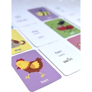 บัตรภาพคำศัพท์ แฟลชการ์ด #สัตว์#ผลไม้#abc#ผัก#กขค flashcard