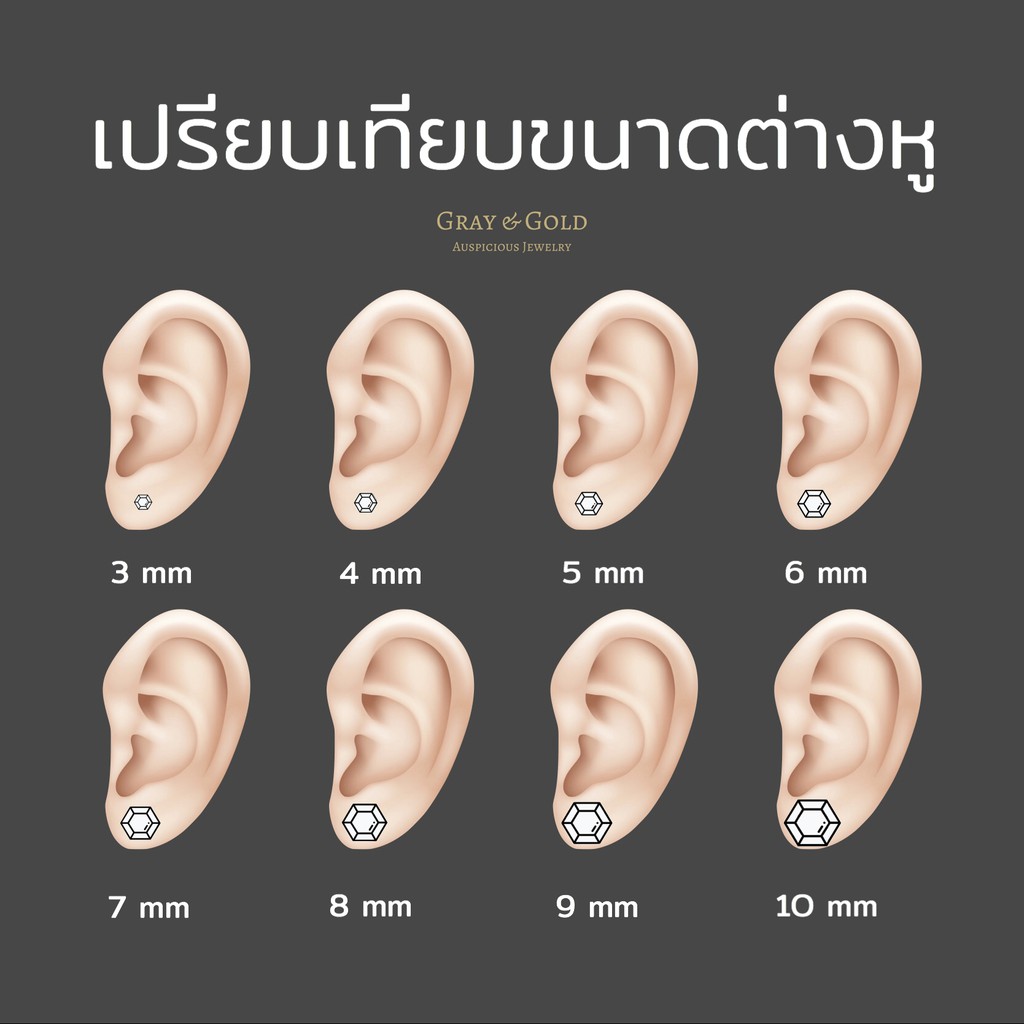 (จัดส่งออกใน 3 วัน) ต่างหูเพชรสังเคราะห์ CZ ทรงกลม Round Brilliant ตัวเรือนอัลลอยด์ ชุบทองคำขาวโรเดียม Gray & Gold ER007