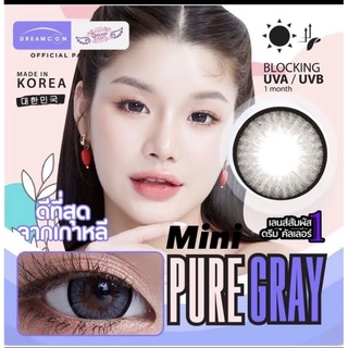 mini pure gray (Dreamcolor1)