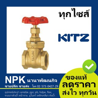 ประตูน้ำทองเหลือง Kitz 1/2นิ้ว ถึง 2นิ้ว Gate Valve  ( 125P FH/AKH )