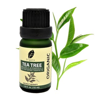 ORIGANIC น้ำมันหอมระเหยทีทรีแท้ 100%  TEA TREE ESSENTIAL OIL น้ำหอมอโรม่า คุณภาพพรีเมี่ยม ไม่เจือจาง ขนาด 10 ml