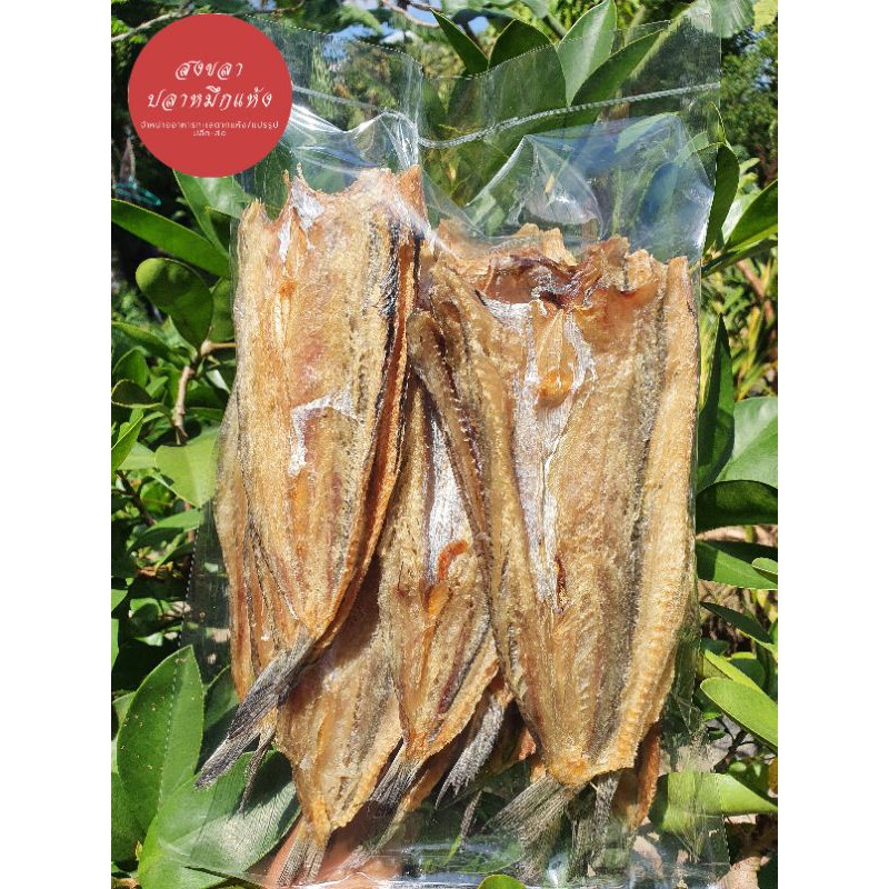 ปลาจิ๊กโก๋ ปลาช่อนทะเลแห้ง 1 กิโลกรัม ขนาดกลาง สะอาด สดใหม่ ส่งไว - รูปที่ 2