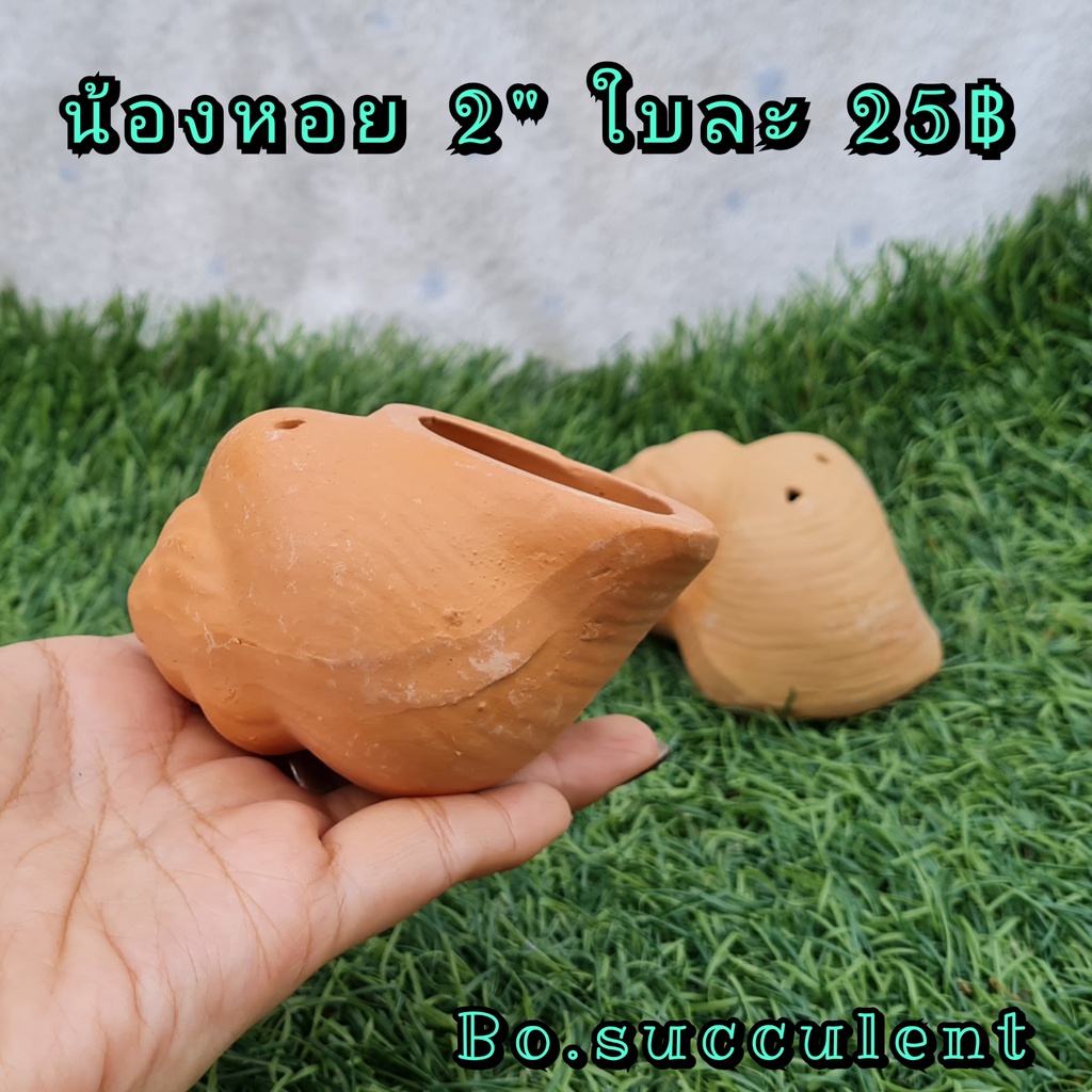 กระถางดินเผา น้องหอย 2นิ้ว ไม้อวบน้ำแคคตัส ปลูกฮาโวเทีย  ใส่ต้นไม้จิ๋วเล็ก เครื่องปั้นดินเผา ของแต่งบ้าน จัดสวน