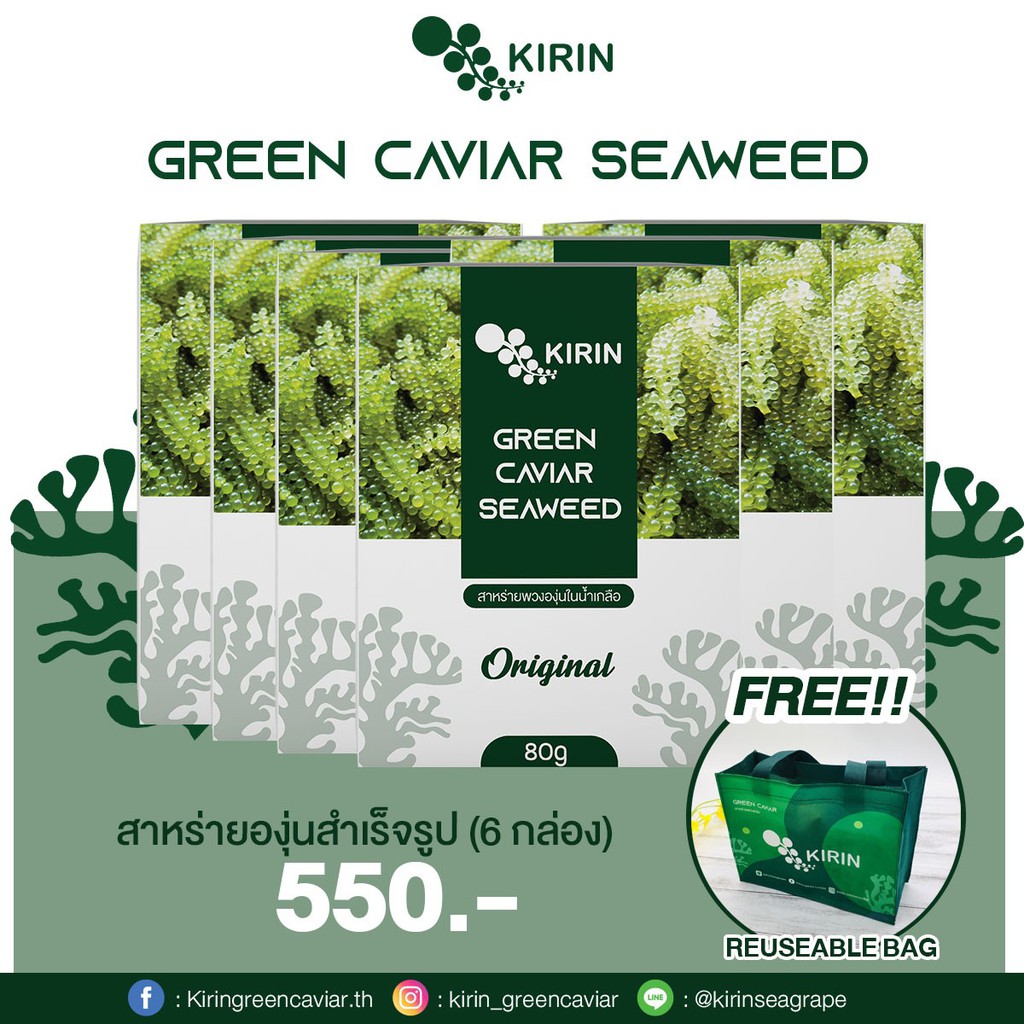 สาหร่ายพวงองุ่น สำเร็จรูป KIRIN GREEN CAVIAR SET 5!!