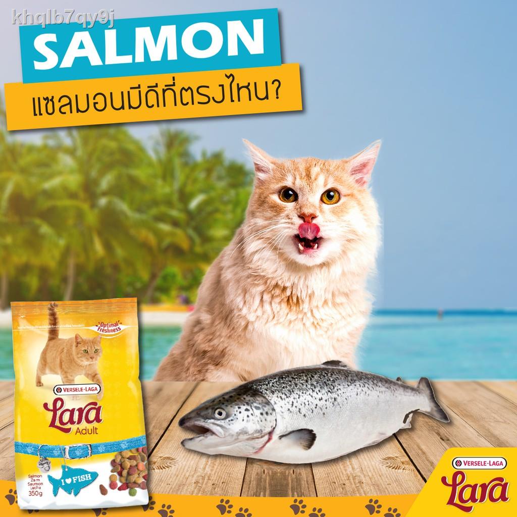 ❀◇Lara Salmon, 2kg.(Adult Cat Food) ลาร่า อาหารแมว โปรตีนสูง สูตรปลาแซลมอน, 2กก.