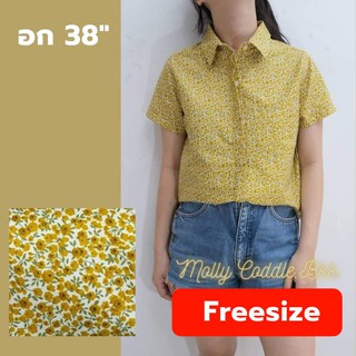 (คอตตอนญี่ปุ่นแท้) เสื้อเชิ้ตปกเล็ก ซ่อนกระดุม Freesize อก38"