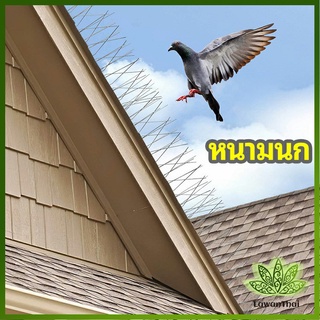 Lawan หนามไล่นก อุปกรณ์ไล่นกทำรัง ทนทาน ทนแดด ทนฝน bird thorn