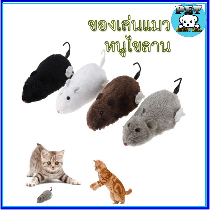 🐱 PP-035 ของเล่นแมว หนูไขลาน หนูปลอม สำหรับแมวและสุนัข 🎉 เพิ่มความสนุกให้กับสัตว์เลี้ยงของคุณ!