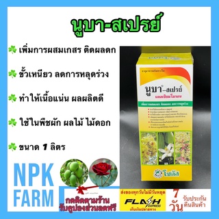 นูบา สเปรย์ แคลเซียมโบรอน (Nuba-Spray CaB) 1 ลิตร โซตัส ขั้วเหนียว เพิ่มผสมเกสร ติดผลดก ลดการหลุดร่วง เนื้อแน่น รสชาติดี