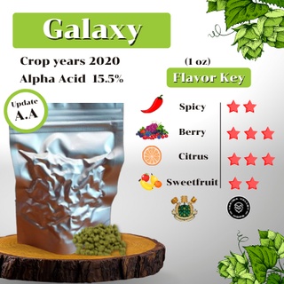 Galaxy Hops (1oz) Crop years 2020 (บรรจุด้วยระบบสูญญากาศ)