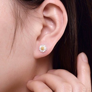 ต่างหูดอกเดซี่ เงินแท้ Daisy silver925 Stud Earring