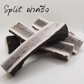 [ส่งจากไทย] Real Deer Antler Dog Chew ขนมขัดฟันสุนัข เขากวางแท้ ขนมแทะเล่นสุนัข Alpine Premium Chews