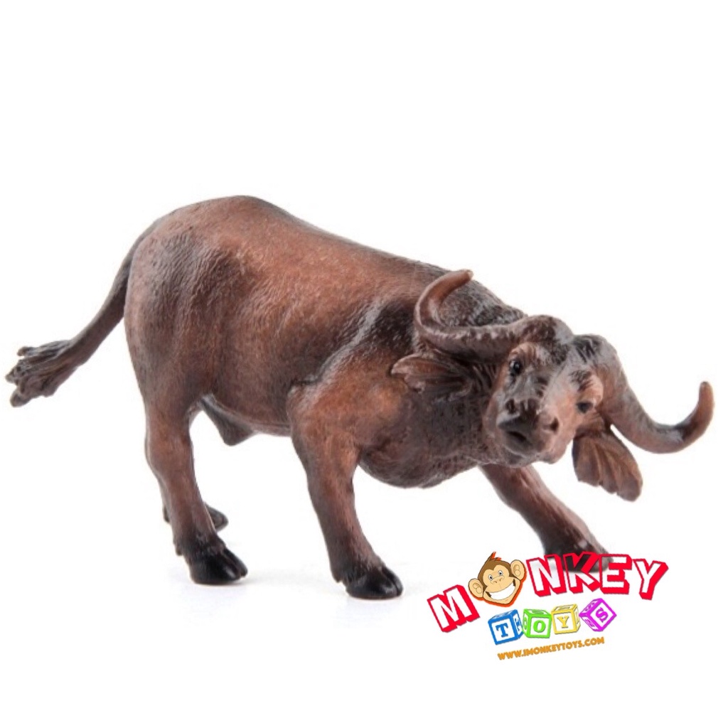 Monkey Toys โมเดลสัตว์ Buffalo ควาย ไทย ดำ ขนาด 13.20 CM (จากหาดใหญ่)