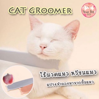 แปรงนวด ที่นวดและหวีขนแมว หวีสัตว์เลี้ยง หวีลิ้นแมว แปรงสัตว์เลี้ยง Cat Groomer สก็อตติช โฟลด์ เปอร์เซีย สีสวาด ขาวมณี