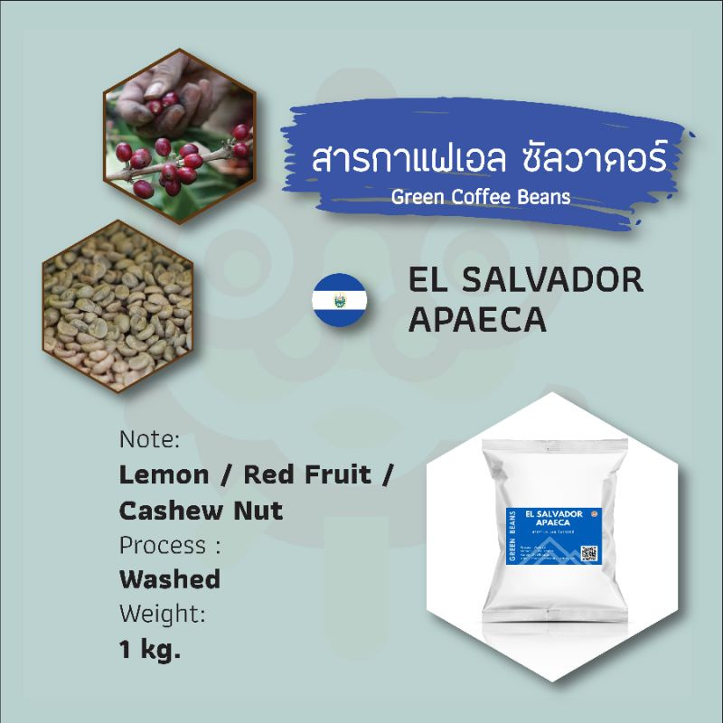 สารกาแฟ เมล็ดกาแฟดิบ เอลซัลวาดอร์ EL Salvador Green Coffee Beans 1 KG #สารเอลกวาดอ #สารกาแฟเอลซัลวาด