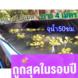 กระชังบก อ่างเลี้ยงปลา บ่อพลาสติก 1.5x4x0.50เมตร อายุการใช้งาน 3 ปี