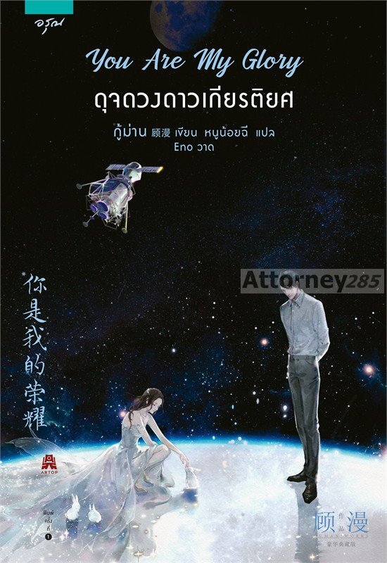 You Are My Glory ดุจดวงดาวเกียรติยศ (นิยาย)