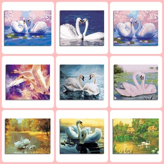 Xz ภาพจิตรกรรมลาย Romantic Swan Animals~ ไม่มีกรอบรูปไม่มีกรอบรูปไม่มีกรอบรูป 40X50ซม.~ ตัวเลข / ตัวเลข / คุณภาพสูงสําหรับตกแต่งผนังบ้าน Ptyl