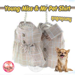 Young Miss and Mr. Pet Shirt ชุดคุณหนูสัตว์เลี้ยง เสื้อหมา เสื้อแมว เดรสแมว