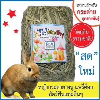 หญ้ากระต่ายทิโมธี_ขนาดเล็ก / สำหรับสัตว์ฟันแทะทุกชนิด /สดใหม่100%