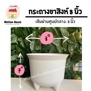 (เซ็ต 4 ใบ) กระถางขาสิงห์ 8 นิ้ว สีขาว กระถางต้นไม้ พลาสติกคุณภาพดี