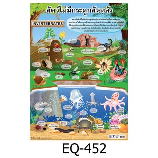 สัตว์ไม่มีกระดูกสันหลัง EQ-452 สื่อโปสเตอร์ภาพ กระดาษ หุ้มพลาสติก