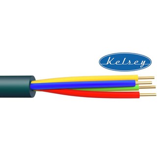 Kelsey SPL4.0 x 4 สายลำโพงเบอร์ 4 จำนวน 4 ไส้ ประเทศอังกฤษ