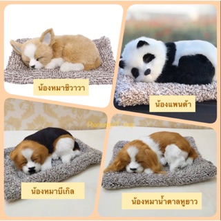 🔥ไลฟ์ลด50%🔥 🐶ตุ๊กตาหมา 🐱ตุ๊กตาแมว 🐼ตุ๊กตาหมีแพนด้า ตุ๊กตา🦊จิ้งจอก ตุ๊กตาดูดกลิ่น น่ารักฝุดๆๆๆๆ