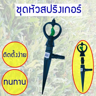 สปริงเกอร์ ชุดหัวสปริงเกอร์ มินิสปริงเกอร์ ระบบรดน้ำ