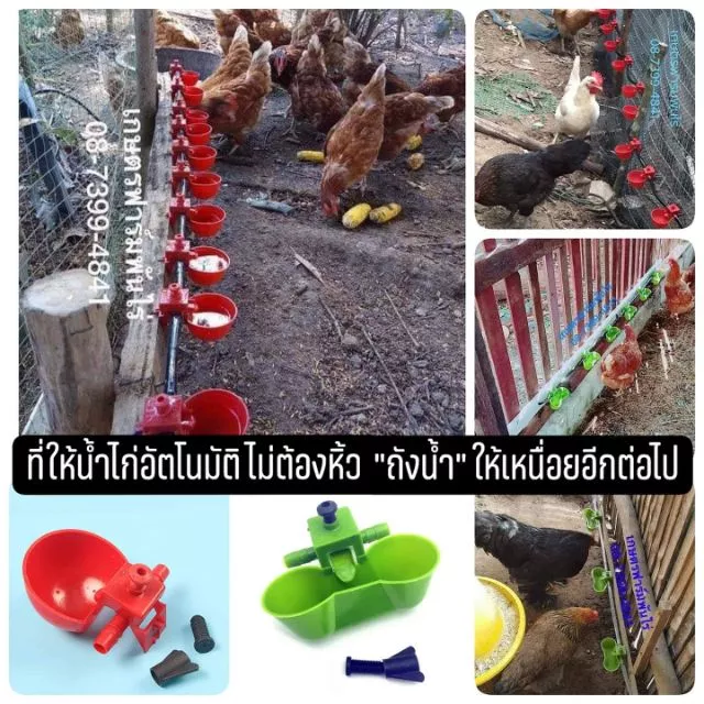 ที่ให้น้ำไก่อัตโนมัติ พร้อมน็อตยึด