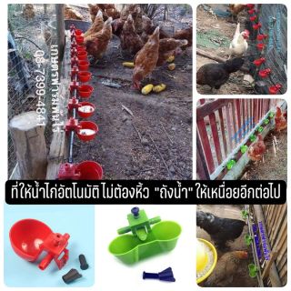 ที่ให้น้ำไก่อัตโนมัติ แถมฟรี!!! น็อตยึดทุกชิ้น