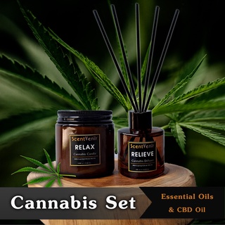 Set เทียนหอม + ก้านไม้หอมกระจายกลิ่น  Cannabis  Set กลิ่นหอมเทอปีน กัญชา จากน้ำมัน CBD Oil สกัดจากกัญชง