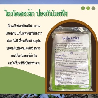 ไตรโคเดอร์ม่า ชีวภัณฑ์ปลอดภัย ขนาด 100 กรัม เชื้อผงชีวภัณฑ์ อินทรีย์ สะอาด ปลอดภัย แก้ปัญหา โรคพืชที่เกิดจากเชื้อราไม่ดี