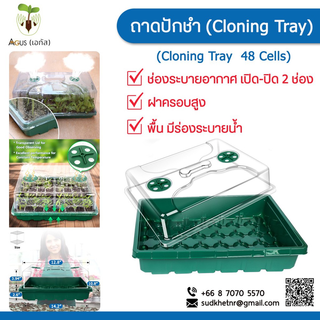 ถาด ปักชำ Cloning tray 48 cells ขนาด 14.2 นิ้ว ถาดเพาะ เพาะเมล็ด โดม ฝา เพาะ ปลูก Clone ชำ กิ่ง เพาะกล้า ต้นกล้า เพาะชำ
