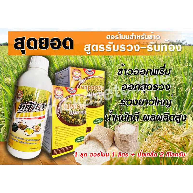 ส่งฟรี ชุดฮอร์โมนข้าวท้อง (ทีต้าเค 1 ขวด+นิปปอนพลัส 2 กล่อง ) ให้ข้าวออกรวงพร้อมกัน เร่งเต่ง สร้างแป้ง เพิ่มน้ำหนัก