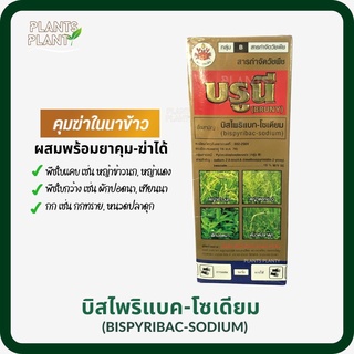 บรูนี่ 500มล., บิสไพริแบค-โซเดียม (bispyribac-sodium) กำจัดหญ้าในนาข้าว หญ้าแดง ดอกขาว หญ้าข้าวนก กกขนาก บิสน้ำ