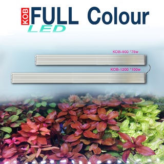 KOB Full color โคมไฟเลี่ยงพืชน้ำ-พืชบก 90cm /120cm