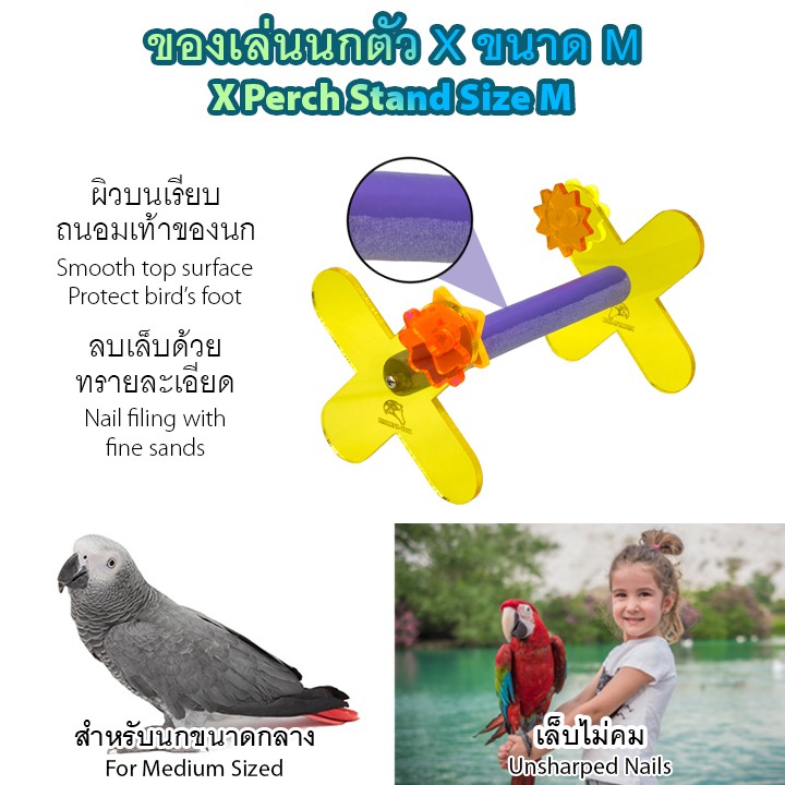 ของเล่นสัตว์เลี้ยง ของเล่นนก ขอนไม้ลับเล็บ คอนลับเล็บ ทรายละเอียด ลดความคมของเล็บ นกแก้ว นกกระตั้ว นกมาคอว์
