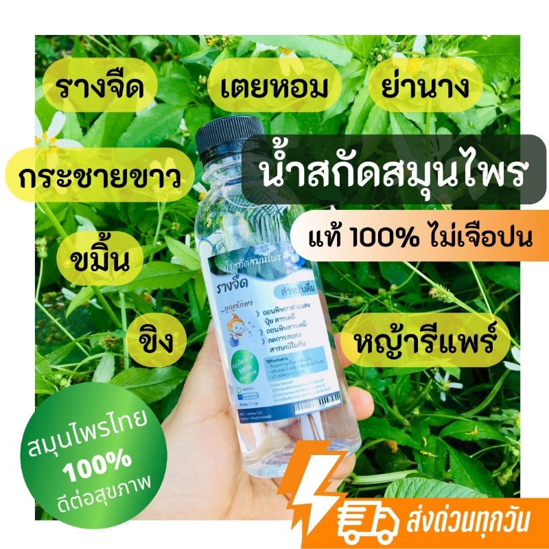 น้ำสกัดสมุนไพร 300 มล. เลือกได้ 10 ชนิด รางจืด เตยหอม ย่านาง หญ้ารีแพร์ หญ้าพันงู บำรุงไต ขมิ้นชัน ขิง กระชายขาวและอื่นๆ