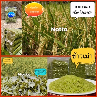 ข้าวเม่าสด หอมใหม่สดทุกวันจากแหล่งผลิตโดยตรง OTOP