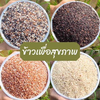 🌾ข้าวเพื่อสุขภาพ ข้าวสังข์หยด ข้าวกล้อง ข้าวไรซ์เบอรี่ ข้าวออแกนิค ข้าวสามสี ข้าวสังข์หยดพัทลุง บรรจุ1กิโล