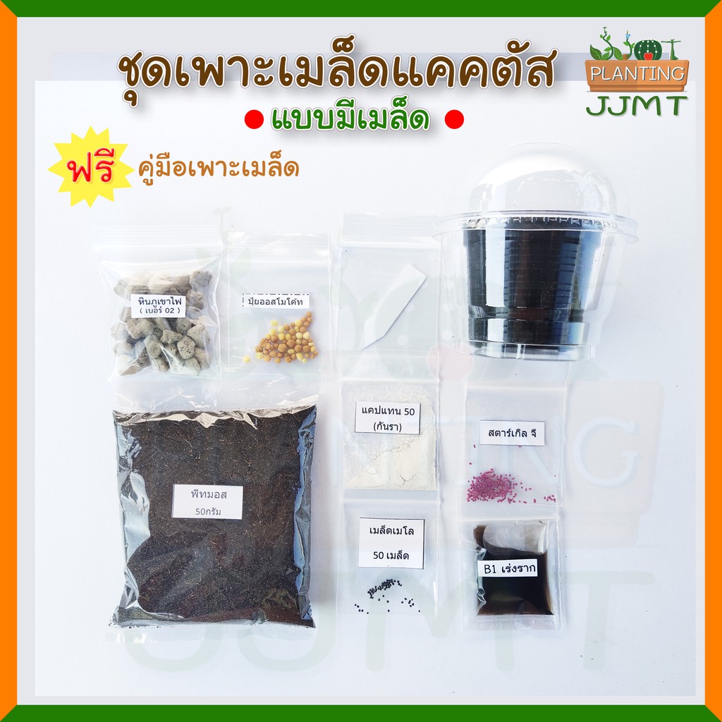 ชุดเพาะเมล็ดแคคตัส ( พร้อมเมล็ดแคคตัสมีให้เลือก) พร้อมปลูก เพาะเมล็ดระบบปิด ชุดเพาะเมล็ดแคคตัส  ราคาถูก