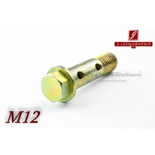 น็อตน้ำมัน Oil Bolt ขนาด M12x1.5x45 แบบ 2 รู