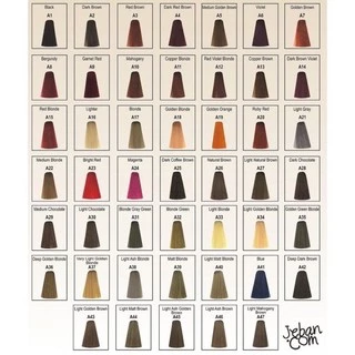 เบอริน่า A1-A20 สีผม #Berina hair color 50 ml